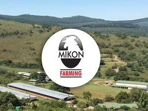 Mikon