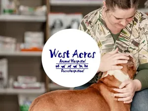 West Acres Animal Hospital