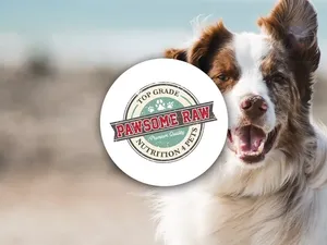 Pawsome Raw Mpumalanga