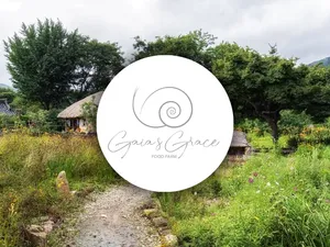 Gaias Grace Food Farm