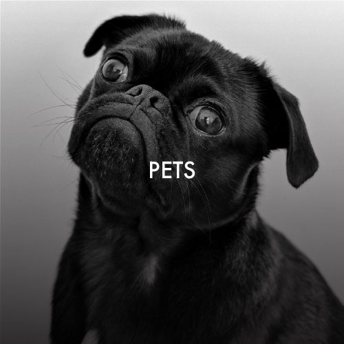 Pets
