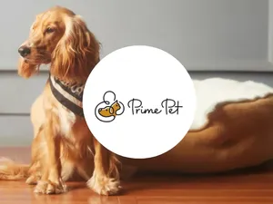 Prime Pet Veterinary Day Clinic