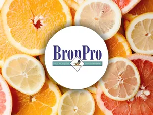 Bronpro Processors
