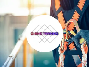 DSHE Training and Consultancy