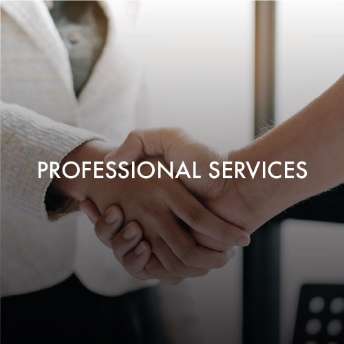 Professional Services