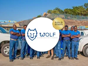Wolf Plumbing