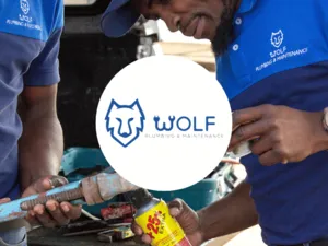 Wolf Plumbing & Maintenance
