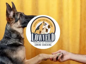 Lowveld Canine Coaching