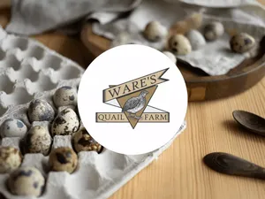 Ware’s Quail Farm
