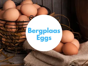 Bergplaas Eggs